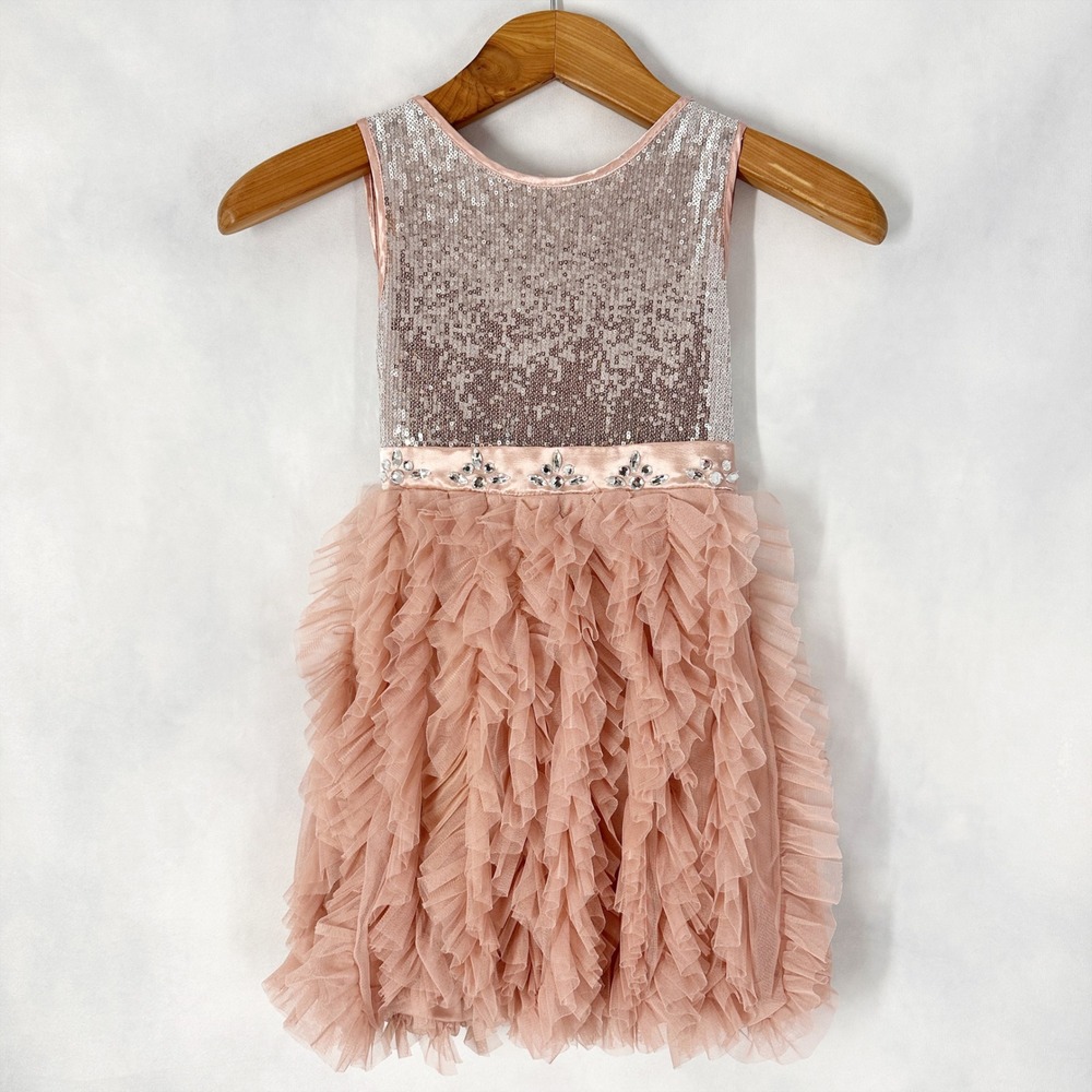 Biscotti Sleeveless Silver Sequin Pink Tulle Ruffle Dress Kids Size 8